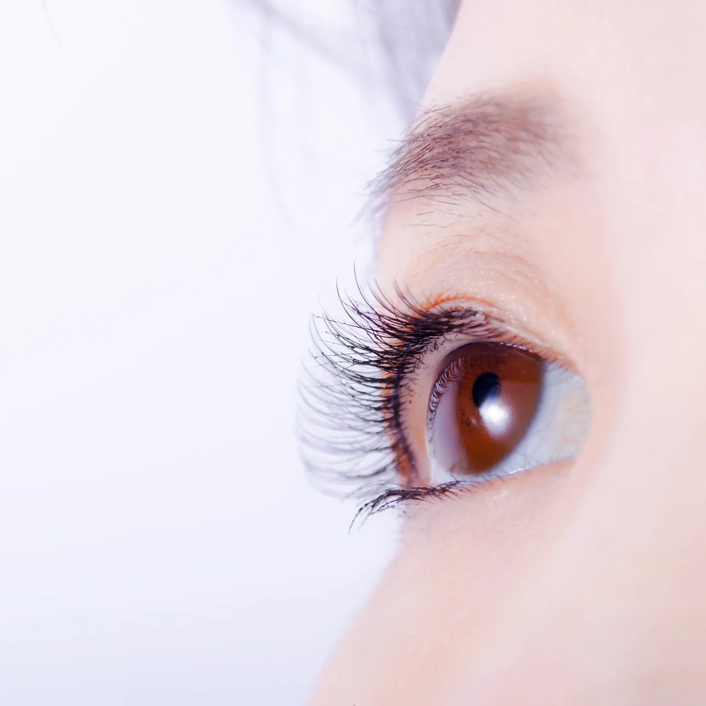 こんにちは✨！まつ毛エクステに興味津々の皆さん、こんにちは！...