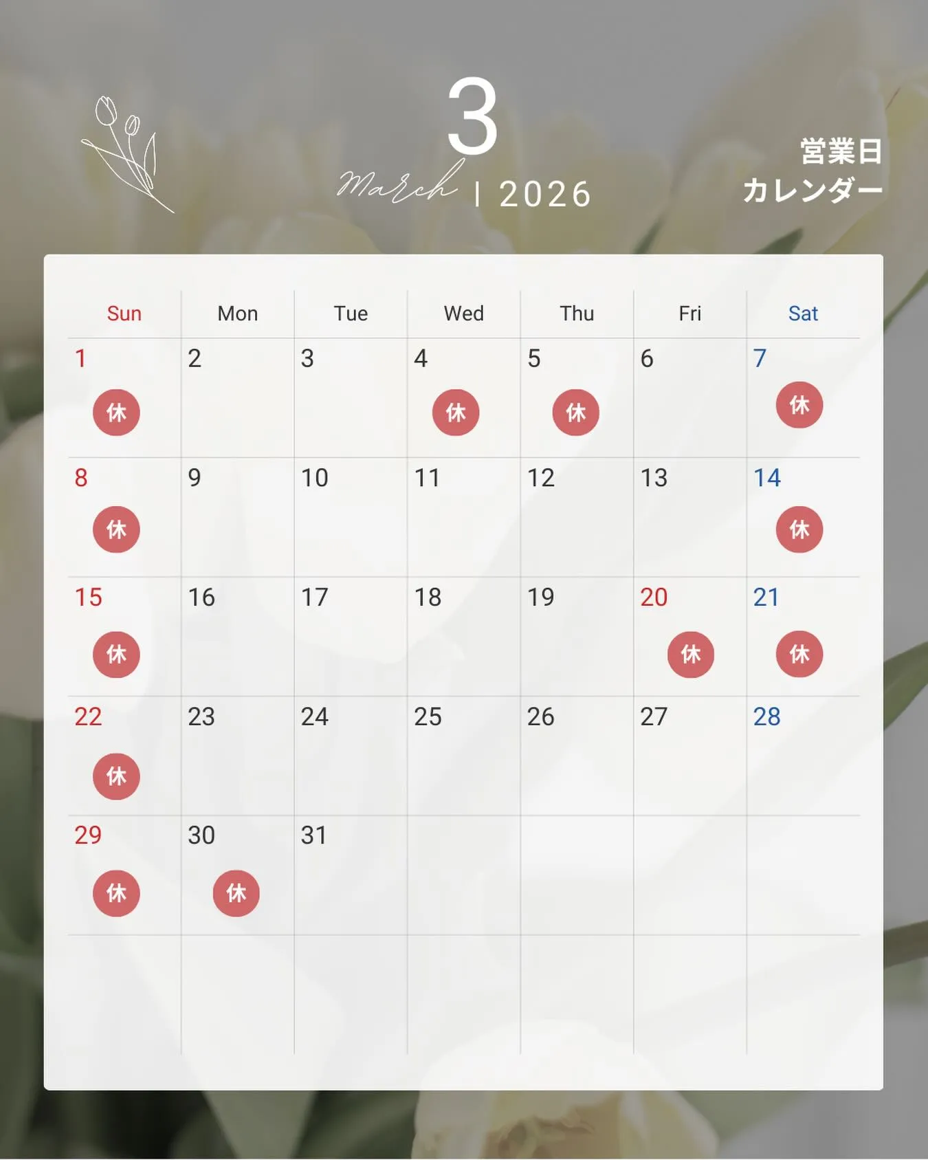 和歌山でマツエクなら、モチが良いと高評価のまつげサロン「+p...