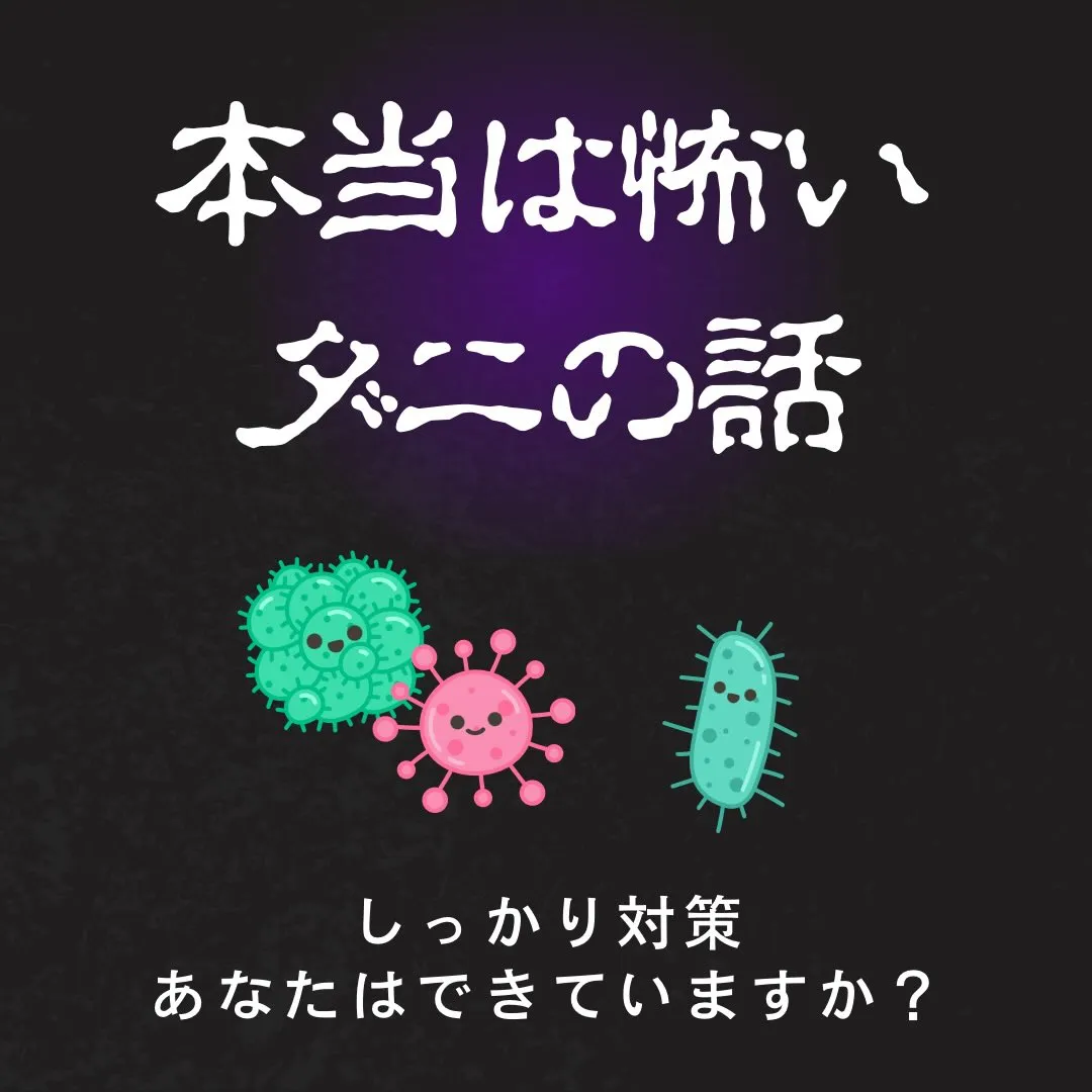 こんにちは🌞